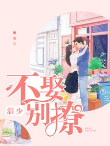 湛少：不娶别撩
