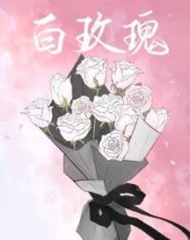 白玫瑰【CP完结】