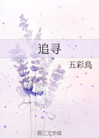 追寻