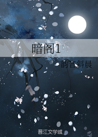 暗阁1