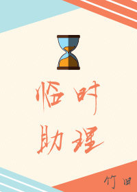临时助理