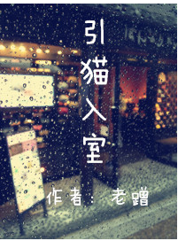 引猫入室