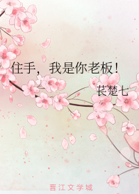 住手，我是你老板！