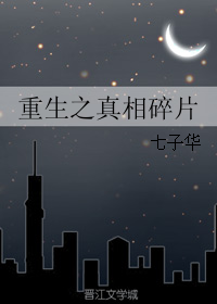 重生之真相碎片