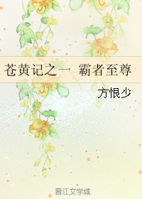 苍黄记之一 霸者至尊