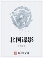 北国谍影