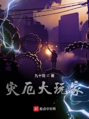 灾厄大玩家