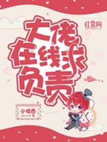 大佬在线求负责