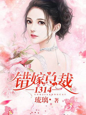 错嫁总裁1314