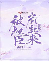 被权臣宠起来真要命
