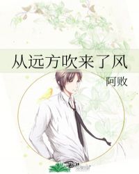 从远方吹来了风