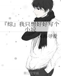 『综』我只想好好写个小说
