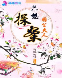 国公夫人只想探案