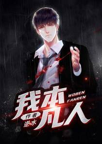 陈风李佳佳柳碗