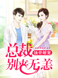 苏晚陆庭尧