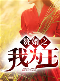 秦淮苏雅