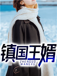 镇国王婿林凡陈雪