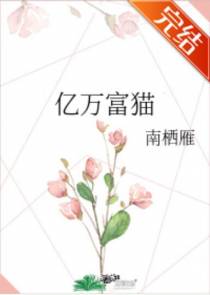 唐豆豆沈苏亭