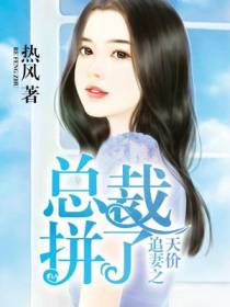 天价追妻之总裁拼了