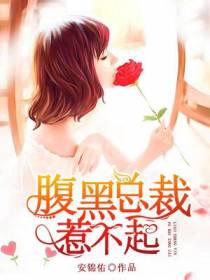 腹黑总裁惹不起