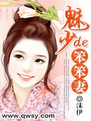 魅少的笨笨妻