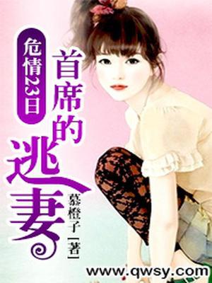 危情23日：首席的逃妻