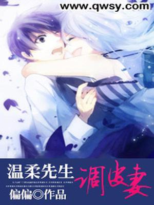 温柔先生调皮妻