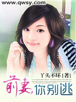 前妻，你别逃
