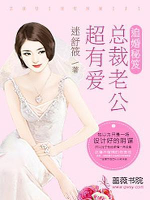 追婚秘笈：总裁老公超有爱