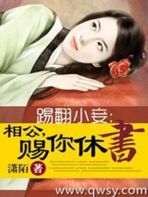 踢翻小妾：相公，赐你休书