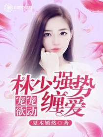 宠宠欲动：林少强势缠爱