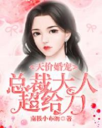 天价婚宠：总裁大人超给力