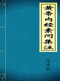 黄帝内经素问集注