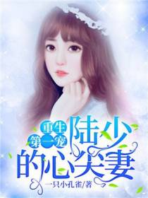重生第一宠：陆少的心尖妻