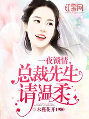 一夜锁情苏青关暮深