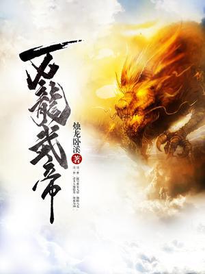 万龙武帝