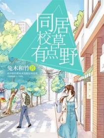 许橙沈牧