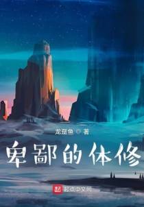卑鄙的体修