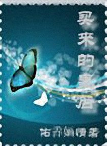 爱如倾雨望情风