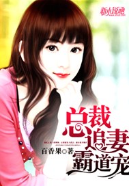 总裁追妻霸道宠