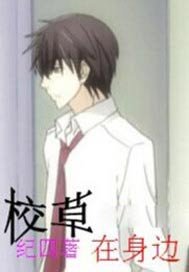 校草在身边