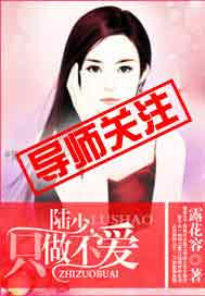 陆少，只做不爱