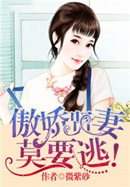 傲娇贤妻，莫要逃！