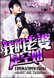 我的老婆是空姐