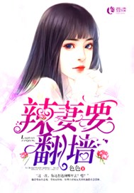 辣妻要翻墙【完本】