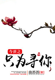 今世之只为寻你