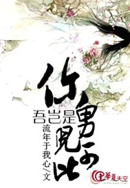吾岂是你男儿可比