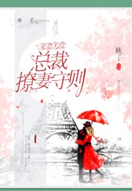 宠妻无度：总裁撩妻守则