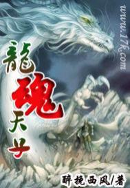 龙魂天子