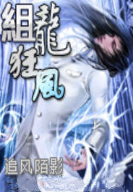 龙组狂风